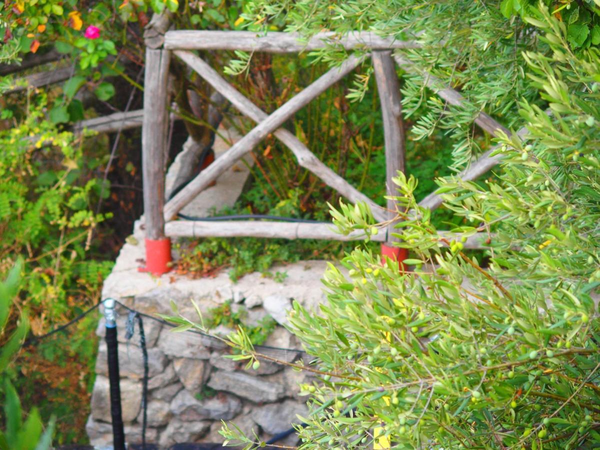 Giardino Sul Mare Daire Amalfi Dış mekan fotoğraf