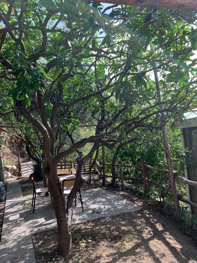 Giardino Sul Mare Daire Amalfi Dış mekan fotoğraf