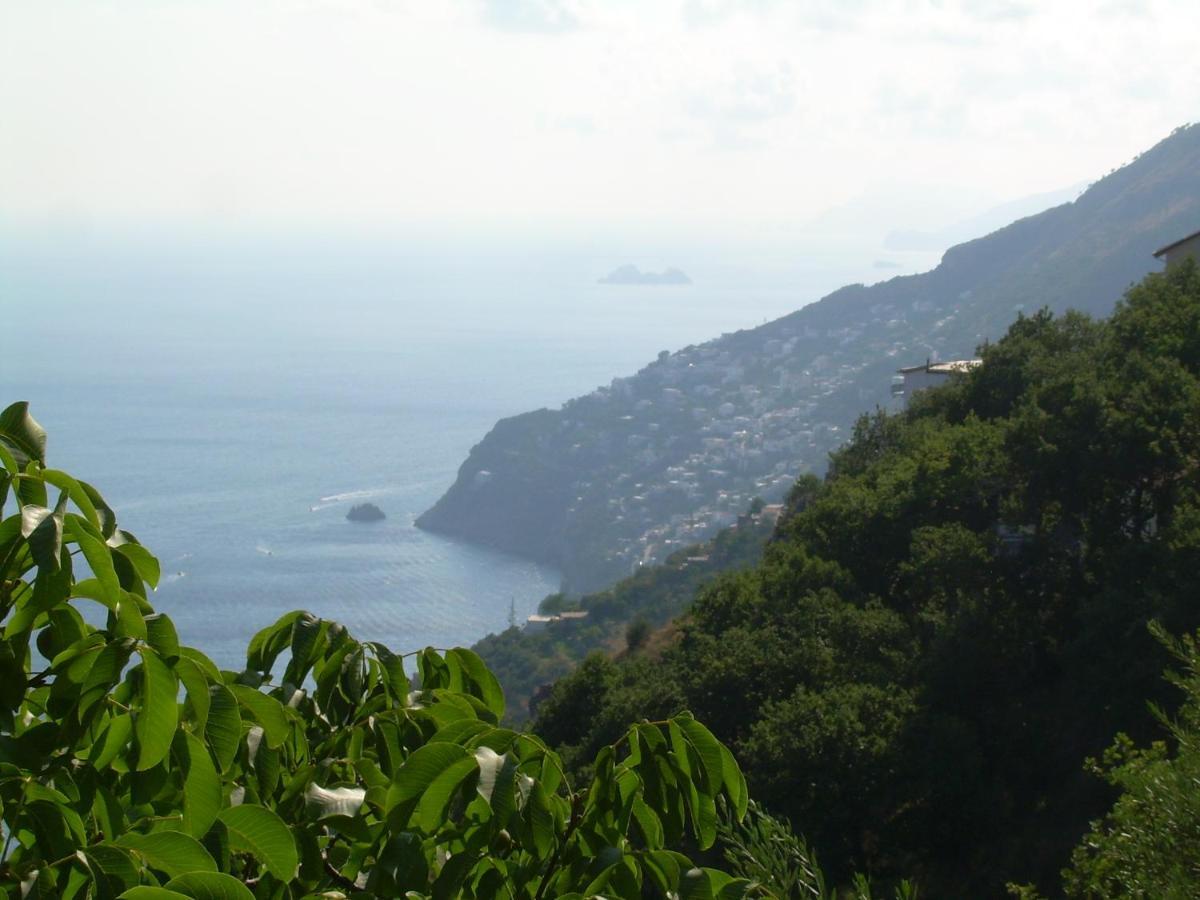 Giardino Sul Mare Daire Amalfi Dış mekan fotoğraf