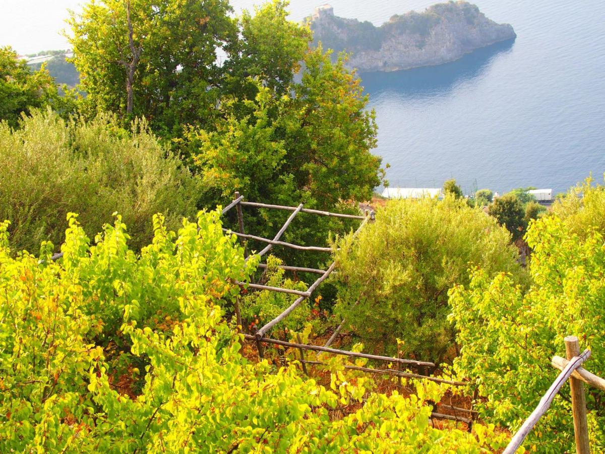 Giardino Sul Mare Daire Amalfi Dış mekan fotoğraf