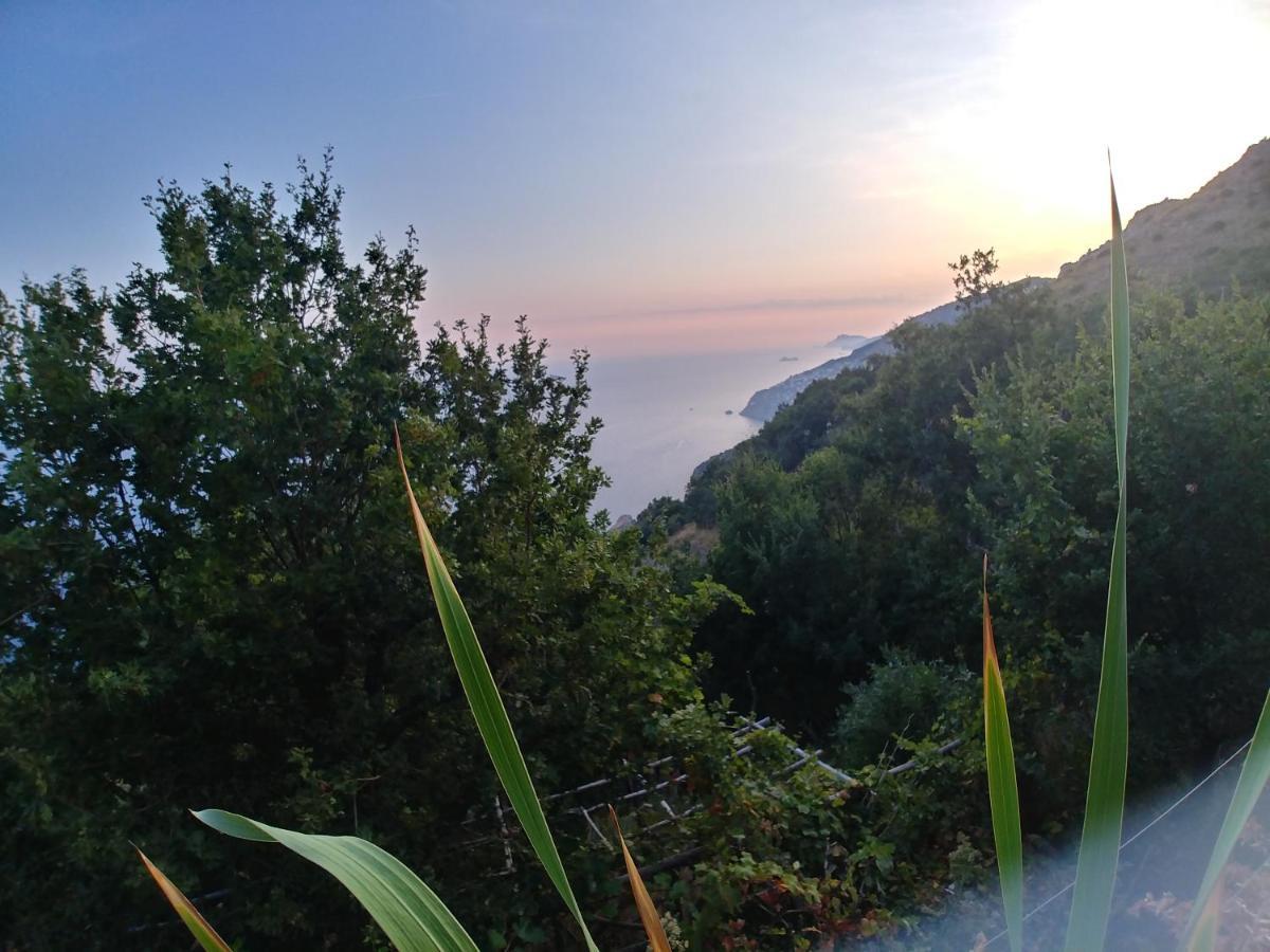 Giardino Sul Mare Daire Amalfi Dış mekan fotoğraf