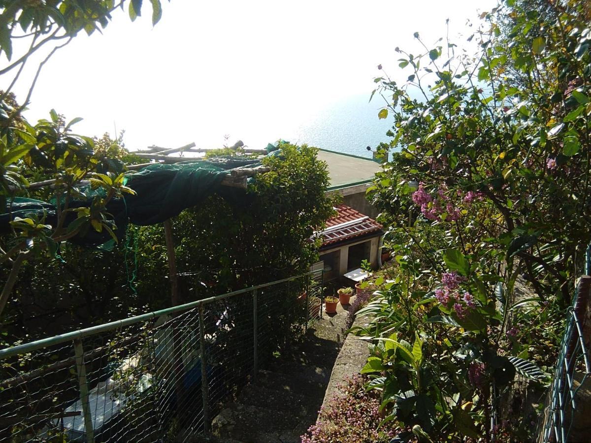 Giardino Sul Mare Daire Amalfi Dış mekan fotoğraf